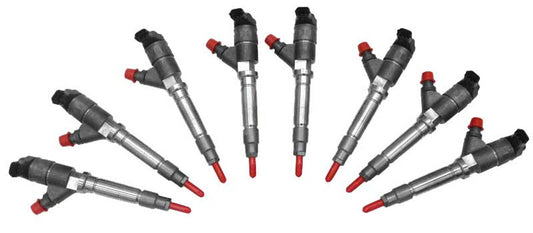 Exergy E01-10202 Sportsman Reman Injector | 04.5-05 GM 6.6L Duramax LLY