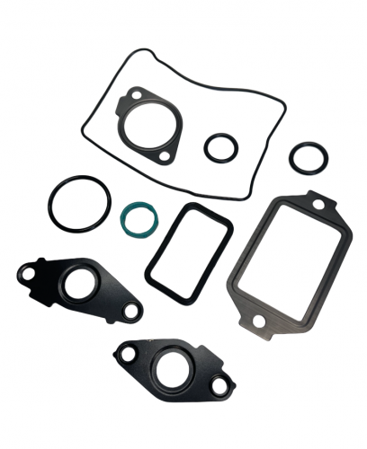 DHD 900-100 DELUXE DURAMAX ENGINE OIL COOLER SEAL & INSTALL KIT 2001-2016 6.6L